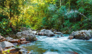 Ecoturismo em abril: o que muda no planejamento de trilhas, cachoeiras e parques