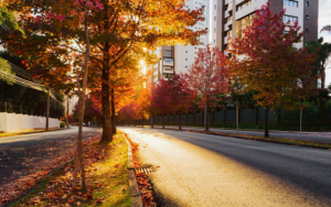 Destinos brasileiros ideais para curtir o outono sem gastar muito