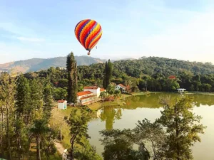 Rota do café no Brasil: viagens para quem gosta de fazendas, serra e experiências locais